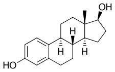 estrogen