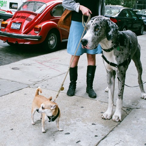 4949903547_77a7e3e2bf_b