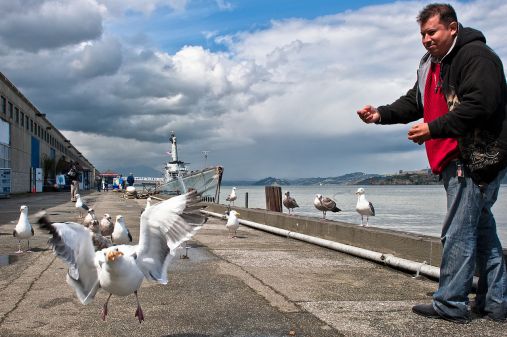 1280px-Catching_a_snack_(5597547033)